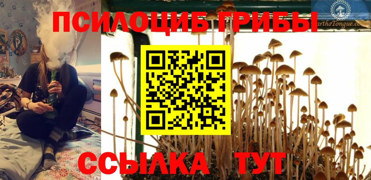 Псилоцибиновые грибы MAGIC MUSHROOMS  Вход с VPN  Каменск-Уральский 